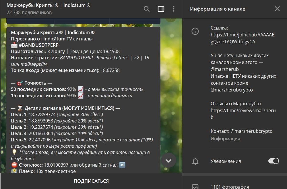 Информация о канале Маржерубы Крипты Indicatum