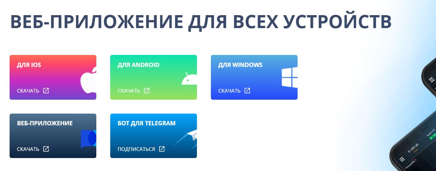 Веб приложение Pocket Option