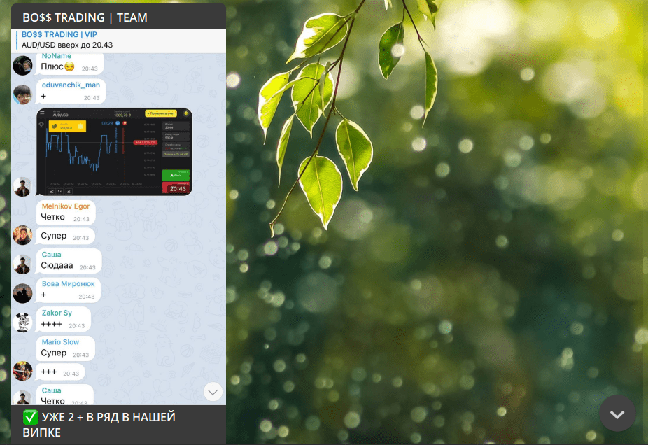 Фейковые отзывы на канале Boss Trading 