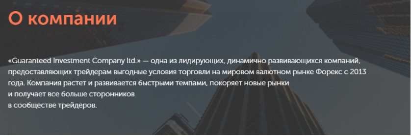 Информация о компании Ginvestco