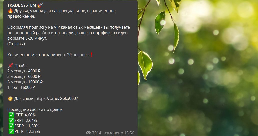 Телеграм-канал проекта Trade System