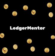 LedgerMentor