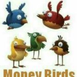 Money Birds