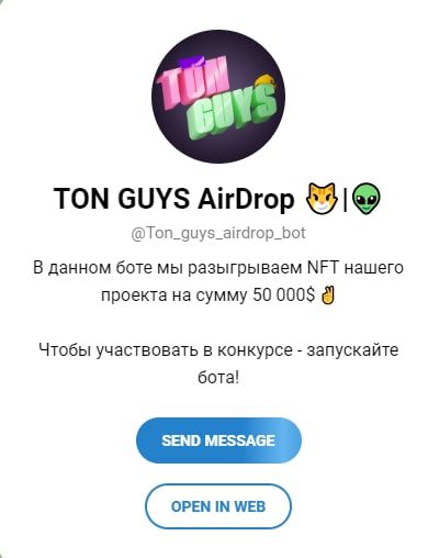 Телеграмм канал Ton Guys Nft