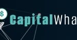 Capital Whale