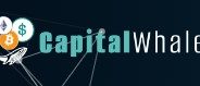 Capital Whale