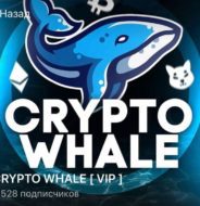 Crypto Whale ltd