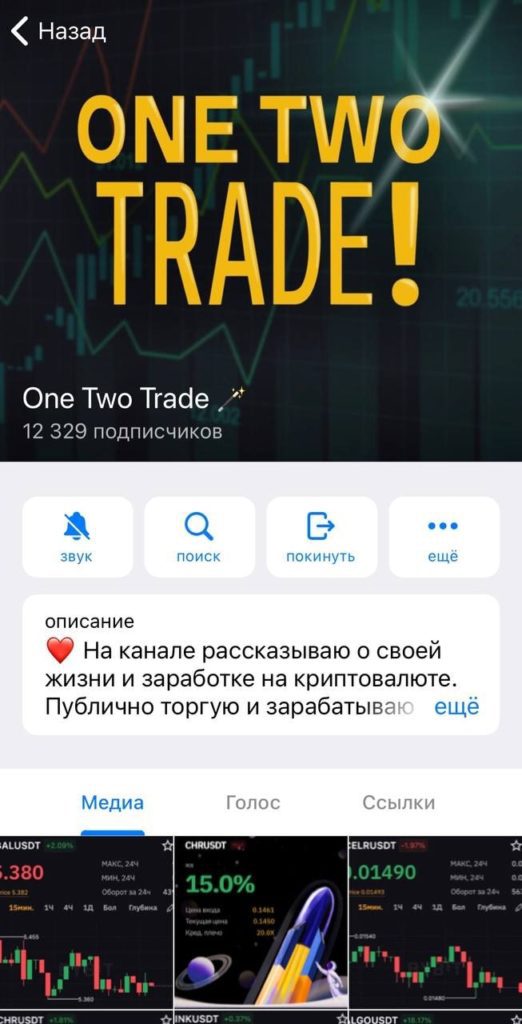 Проект Alina Onetwo