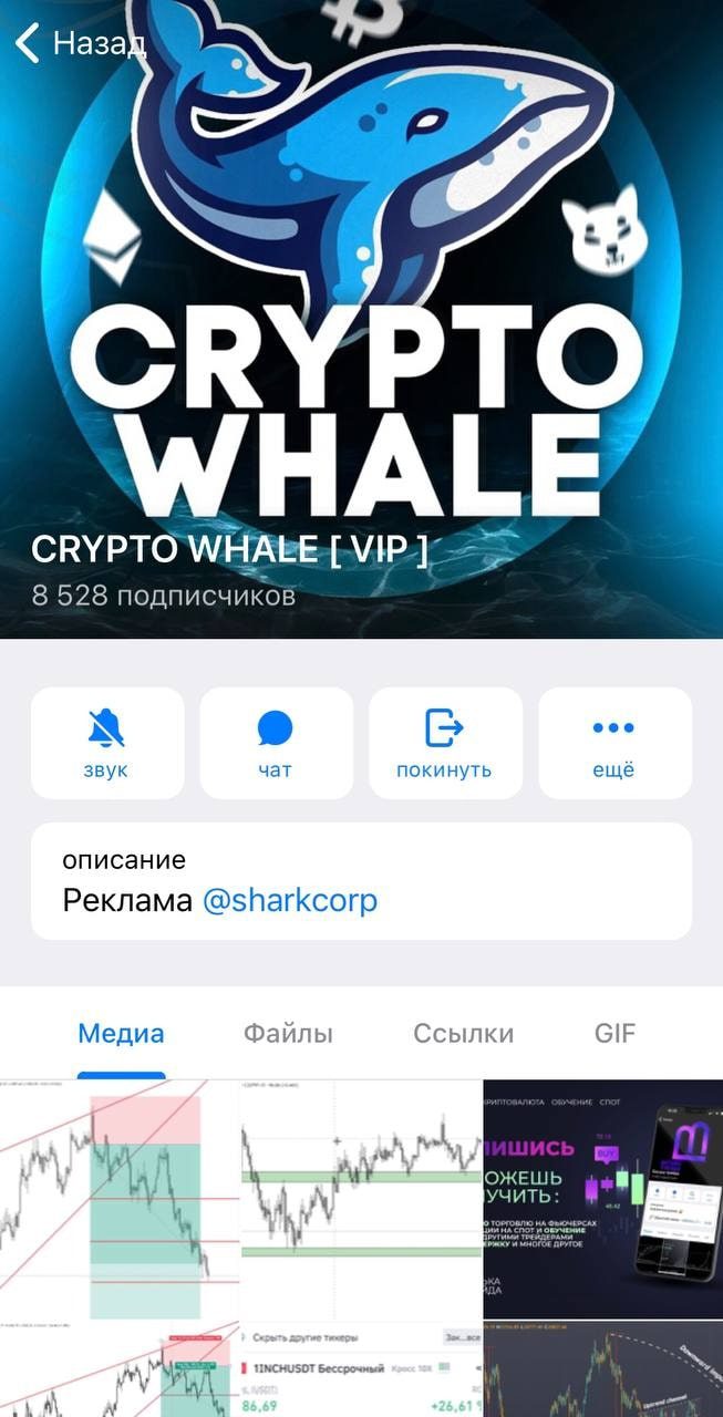 ТГ канал CRYPTO-WHALE