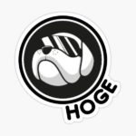 Mонета Hoge