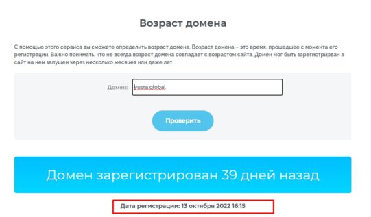 Возраст домена Yusra Global