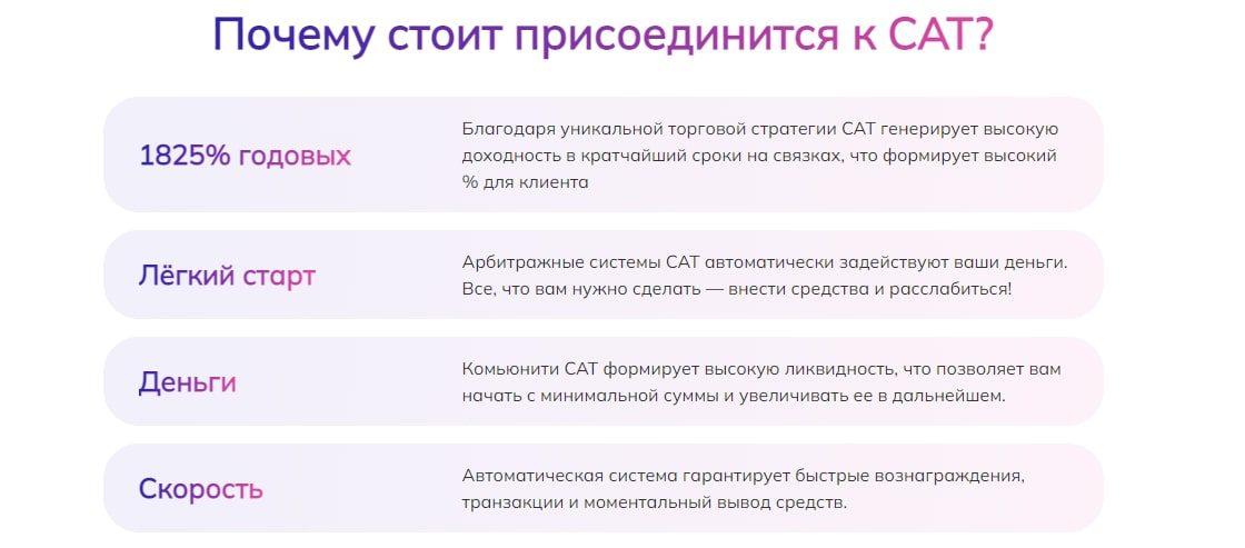 Проект Mycat Team