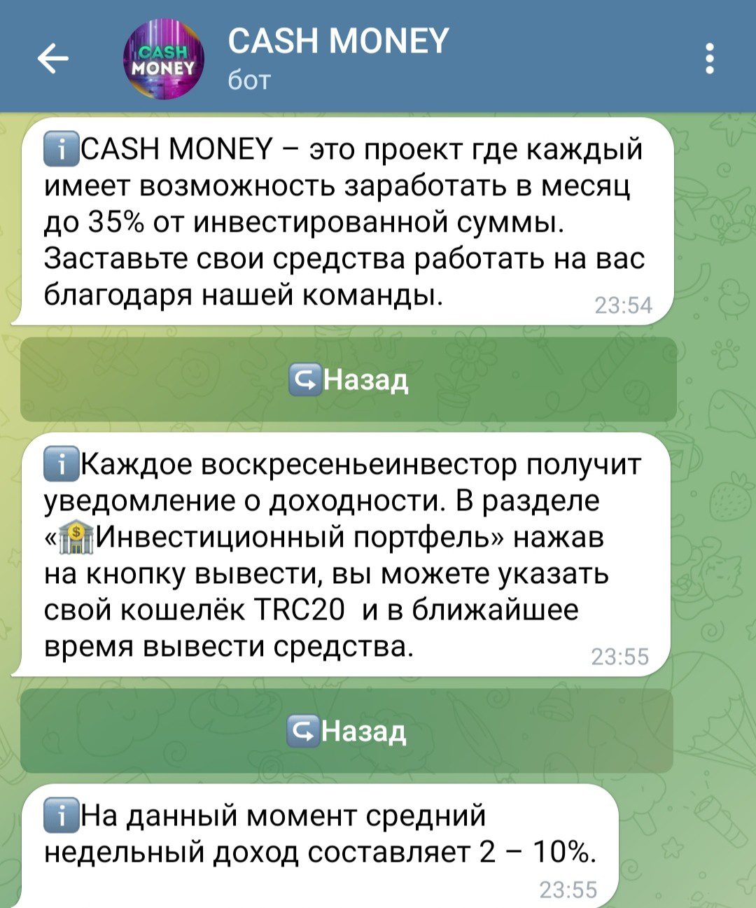 Cash Money телеграм