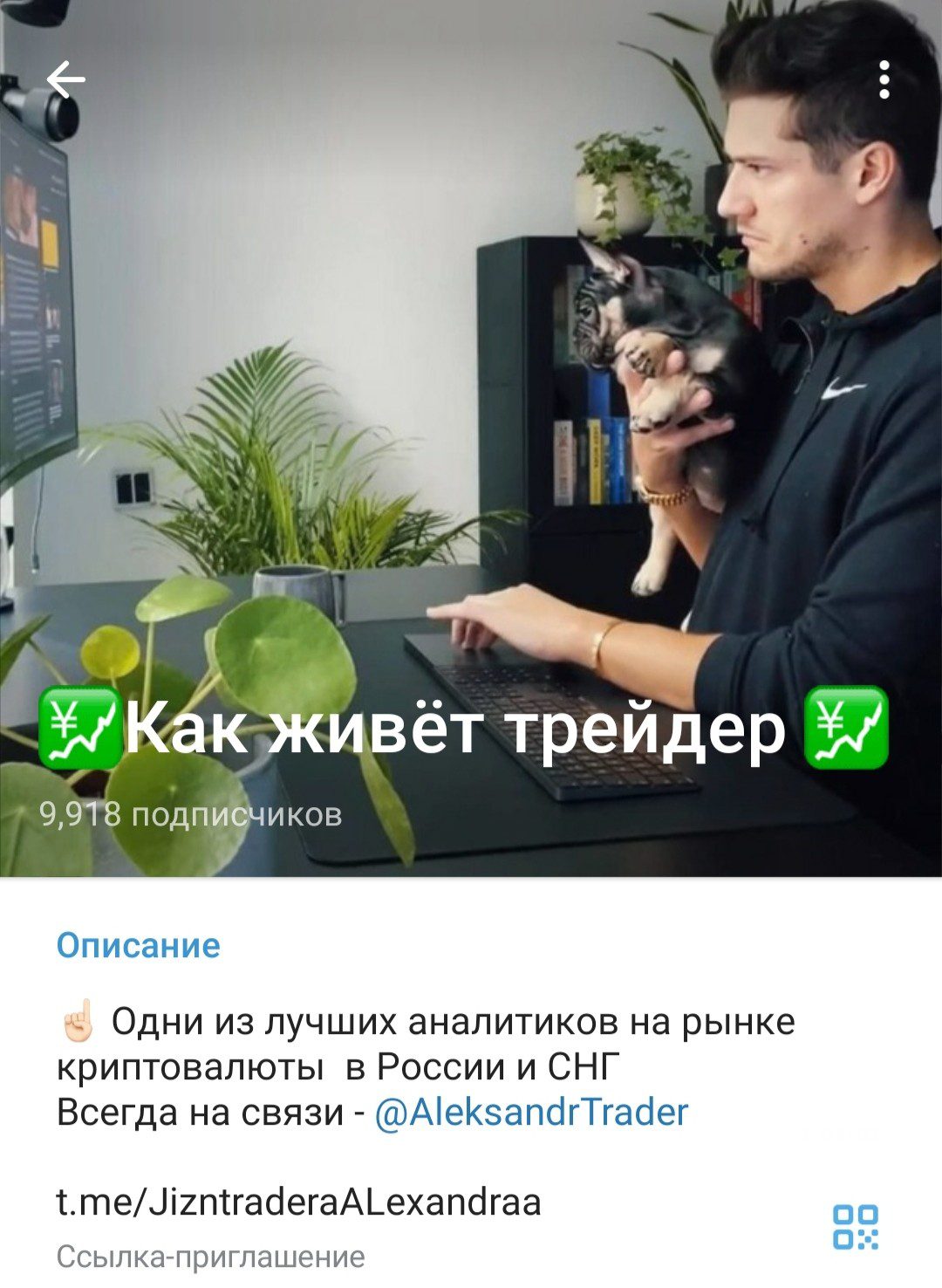 Как живет трейдер телеграм