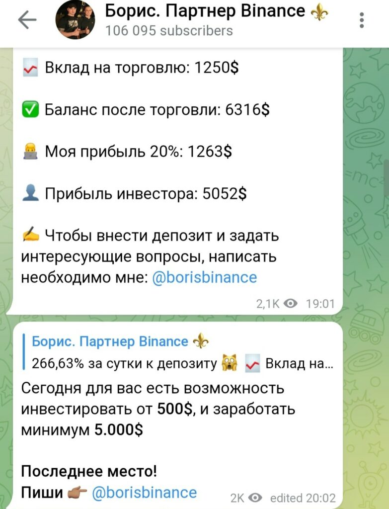 Обзор проекта Борис партнер Binance