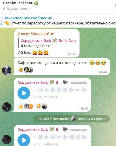 Телеграм чат Bachimuchi CC