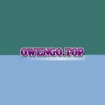 Owengo.top