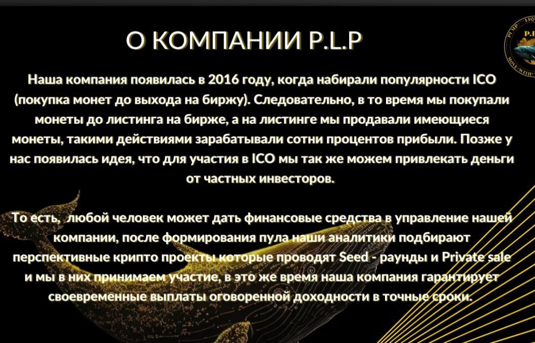 Информация о компании Pump Liquid Pool