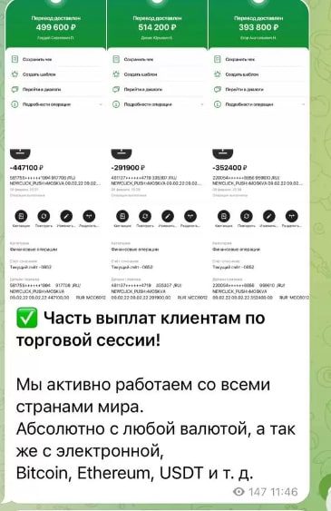 Sacha Dobro выплаты клиентов