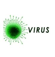 Virus криптовалюта