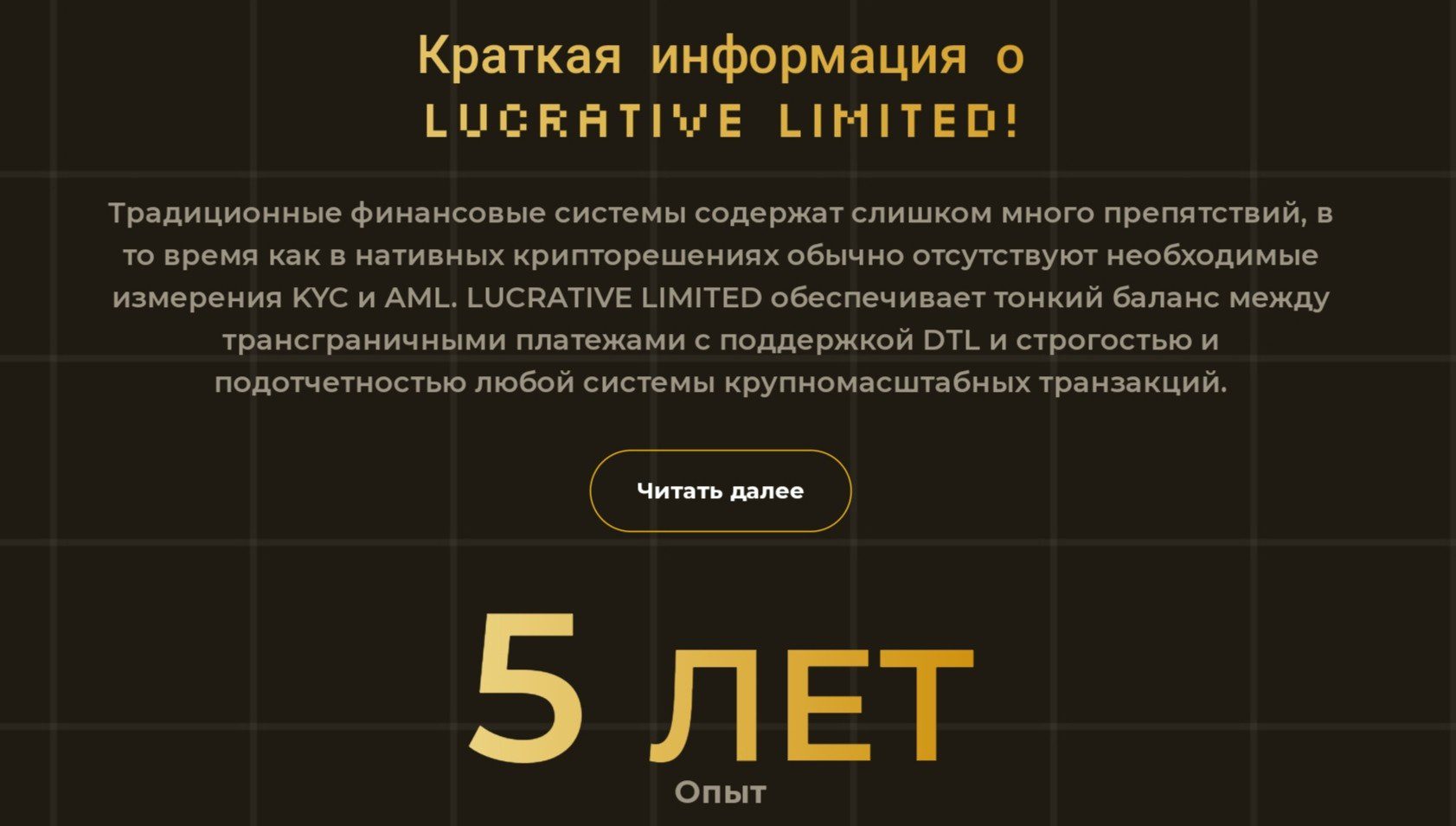 Обзор компании Lucrative-shares