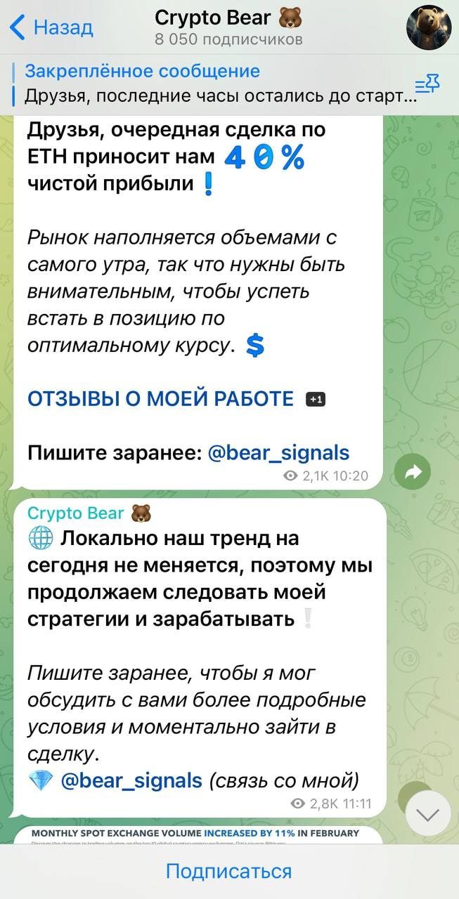 Канал Сrypto Bear