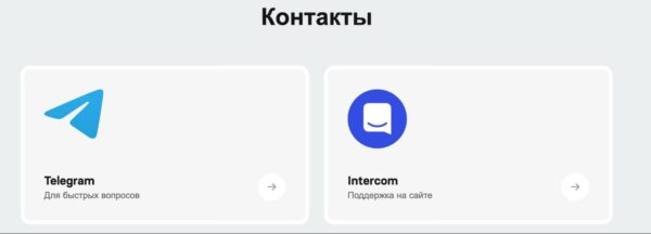 Ortex ai контпкты