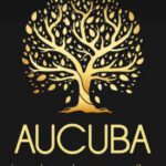 AUCUBA