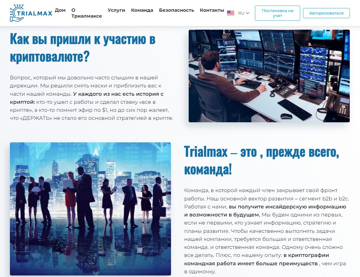 Описание работы Trialmax инвестиции