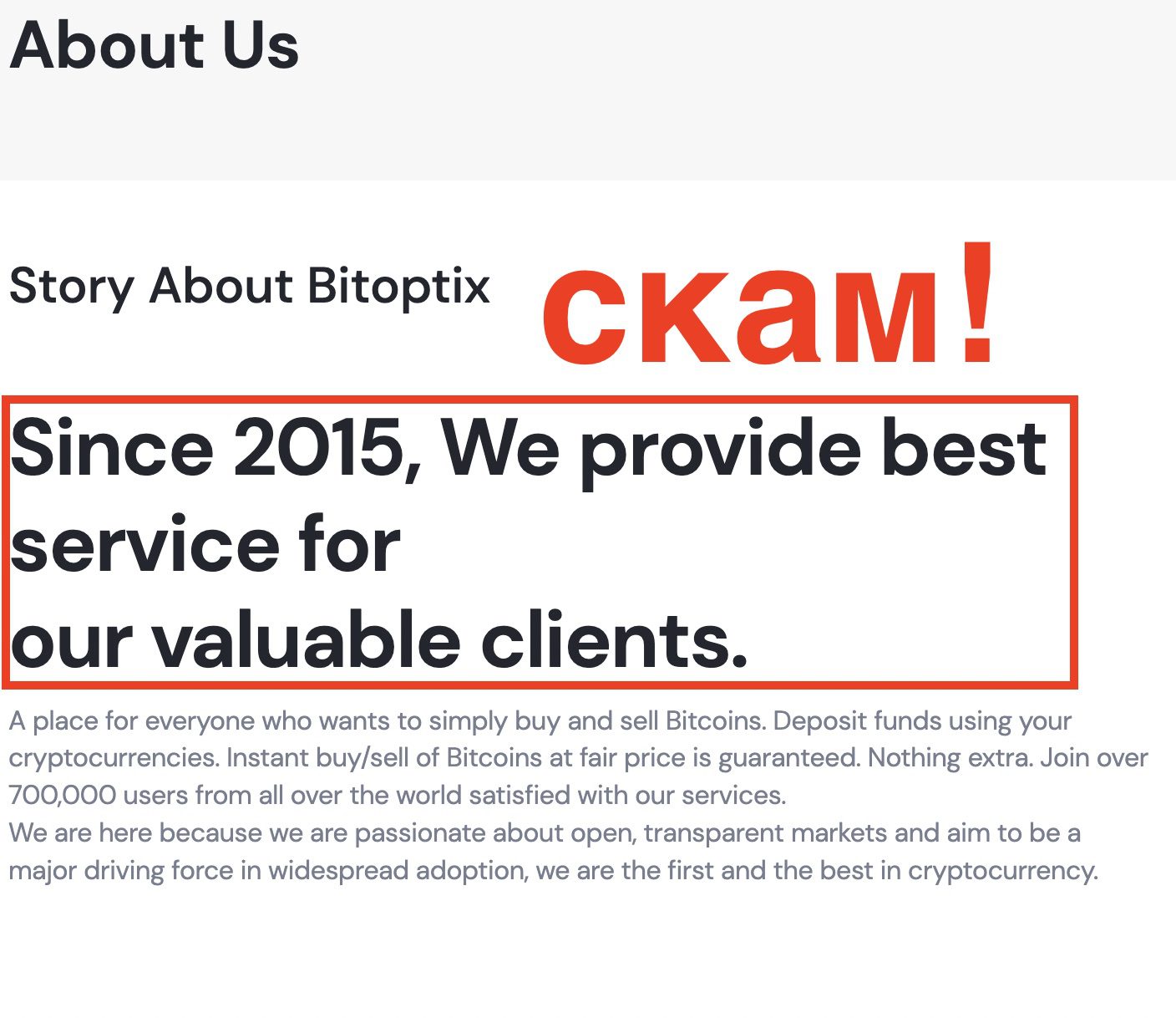 Проверка компании Bitoptix.org