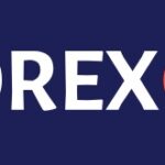 Forex Live