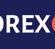 Forex Live