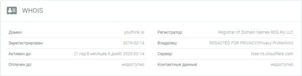 Youthink.ru данные домена