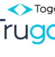 Trugo заработок