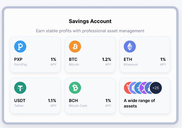 биржа поинт пей