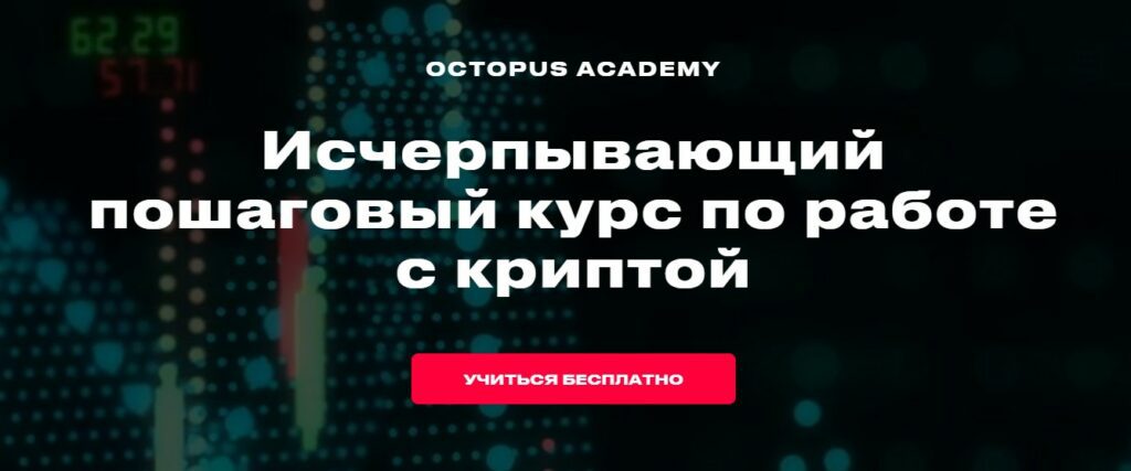 OctopusAcademy обзор проекта