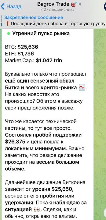 Проект Bagrov Trade