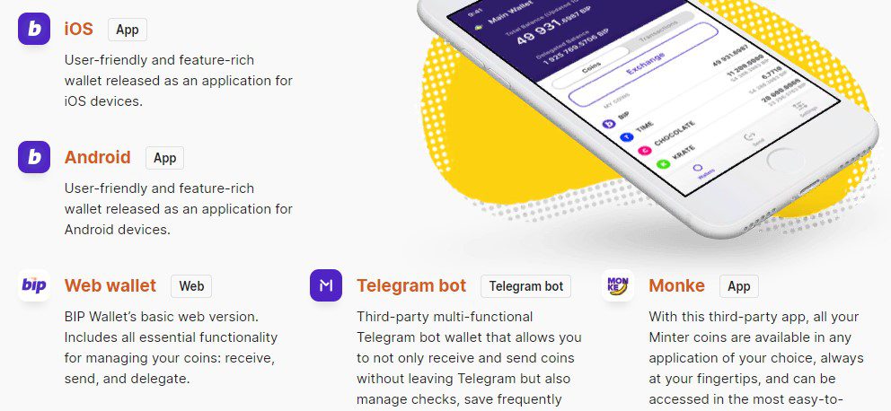 Проект Минтер