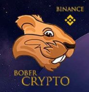 Crypto Bober