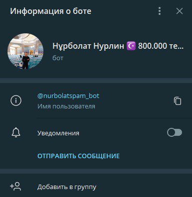 Информация о боте Нурболат Нурлин