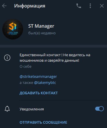 Информация о ТГ канале @striketeammanager