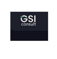 Gsi consult