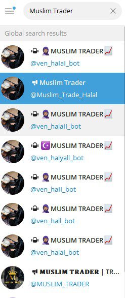 Muslim Trader обзор