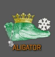 Инвестиции с Aligator