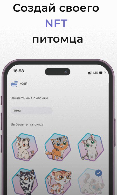 axie skin развод