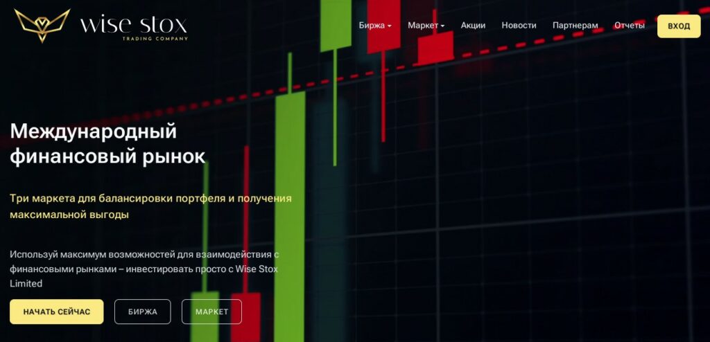 Wise Stox обзлор компании