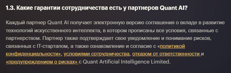 Quant AI обзор компании