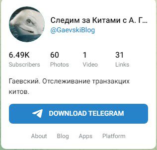 GaevskiBlog телеграм