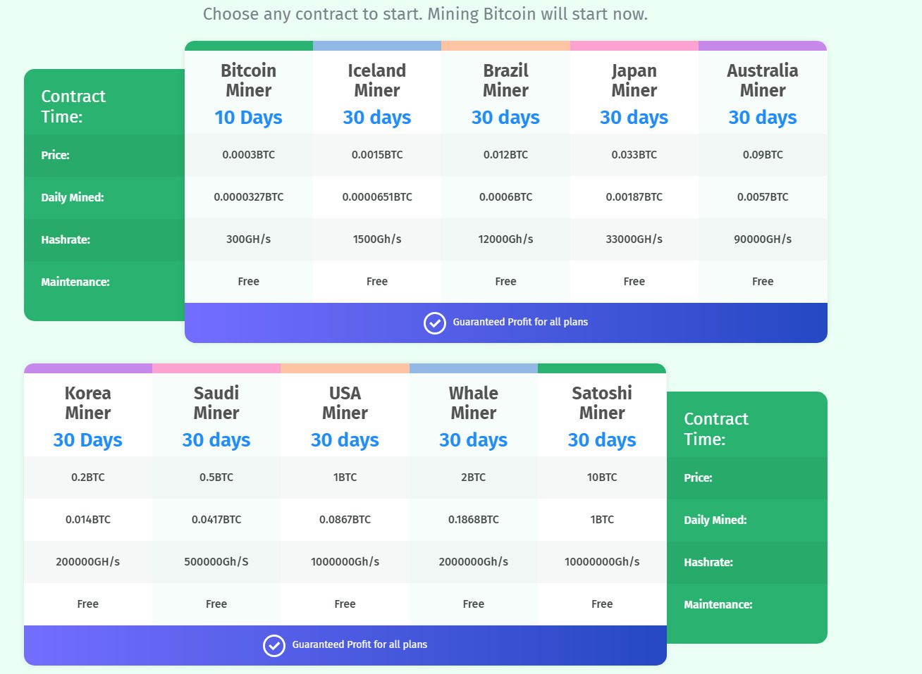 Перспективы заработка на проекте Whalesmining.com