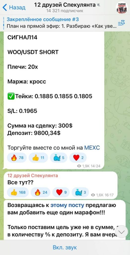 Проект 12 друзей Спекулянта